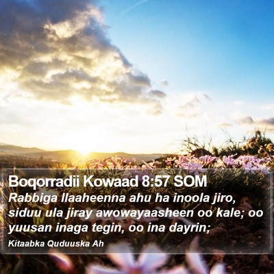 Boqorradii Kowaad 8:57 SOM Bible Verse Image