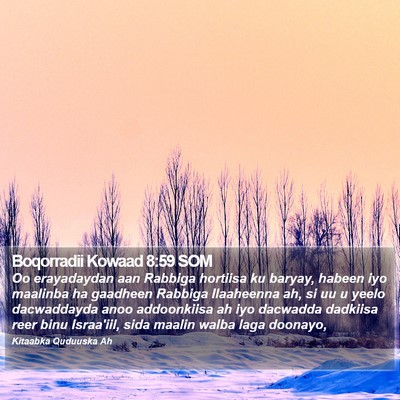 Boqorradii Kowaad 8:59 SOM Bible Verse Image