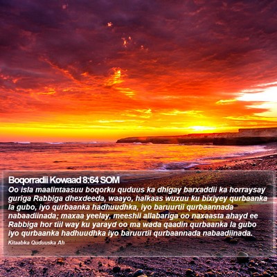Boqorradii Kowaad 8:64 SOM Bible Verse Image