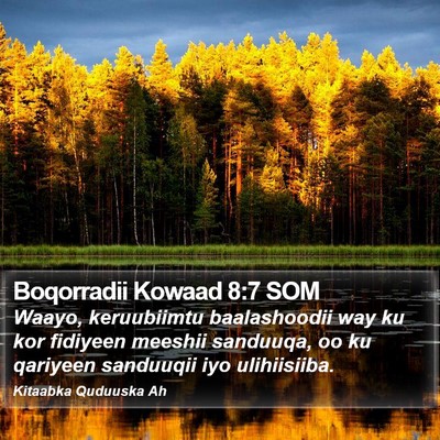 Boqorradii Kowaad 8:7 SOM Bible Verse Image