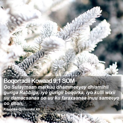 Boqorradii Kowaad 9:1 SOM Bible Verse Image