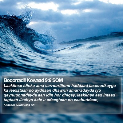 Boqorradii Kowaad 9:6 SOM Bible Verse Image