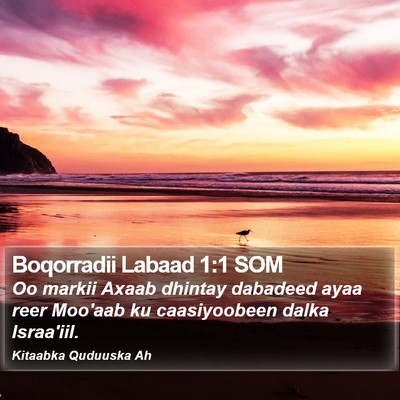Boqorradii Labaad 1:1 SOM Bible Verse Image