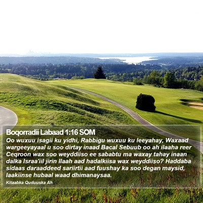 Boqorradii Labaad 1:16 SOM Bible Verse Image