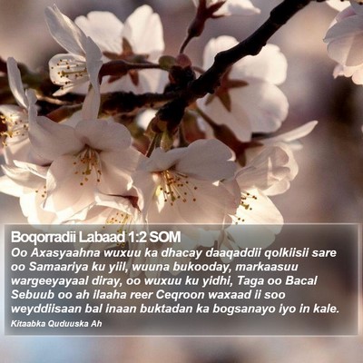 Boqorradii Labaad 1:2 SOM Bible Verse Image
