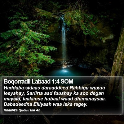 Boqorradii Labaad 1:4 SOM Bible Verse Image