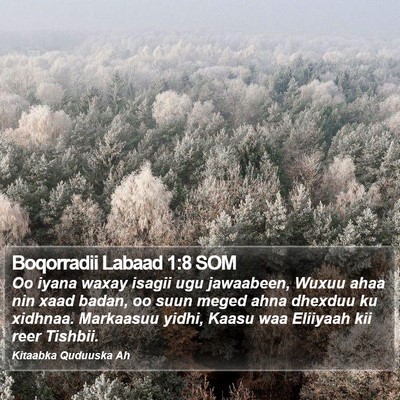 Boqorradii Labaad 1:8 SOM Bible Verse Image