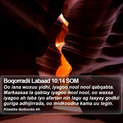 Boqorradii Labaad 10:14 SOM Bible Verse Image