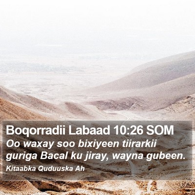 Boqorradii Labaad 10:26 SOM Bible Verse Image