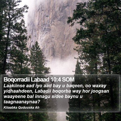 Boqorradii Labaad 10:4 SOM Bible Verse Image