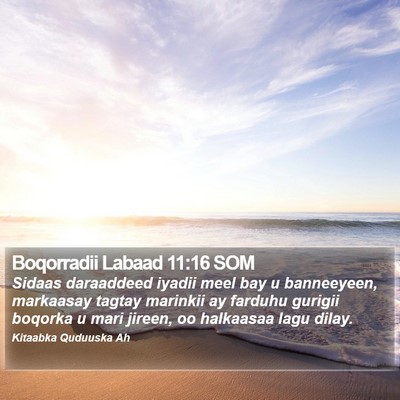 Boqorradii Labaad 11:16 SOM Bible Verse Image