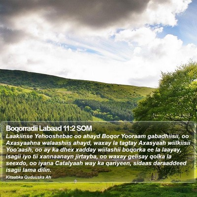 Boqorradii Labaad 11:2 SOM Bible Verse Image