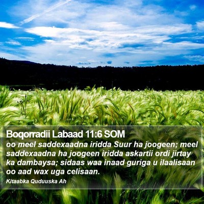 Boqorradii Labaad 11:6 SOM Bible Verse Image