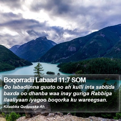 Boqorradii Labaad 11:7 SOM Bible Verse Image
