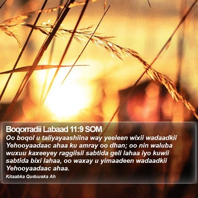 Boqorradii Labaad 11:9 SOM Bible Verse Image