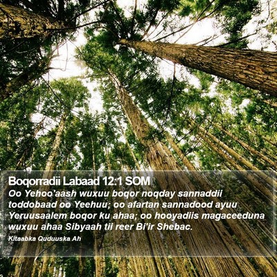 Boqorradii Labaad 12:1 SOM Bible Verse Image