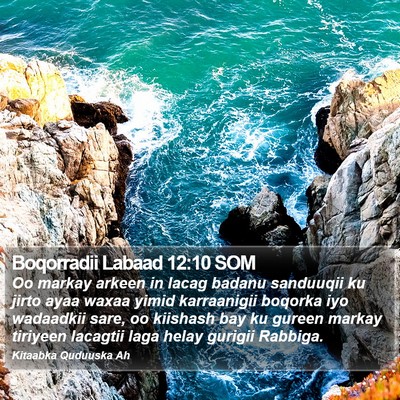 Boqorradii Labaad 12:10 SOM Bible Verse Image
