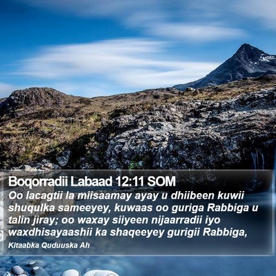 Boqorradii Labaad 12:11 SOM Bible Verse Image