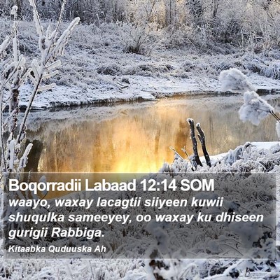 Boqorradii Labaad 12:14 SOM Bible Verse Image