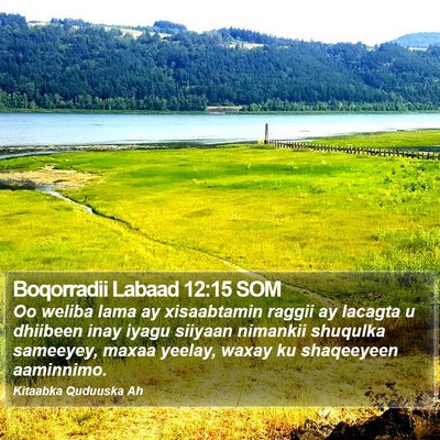 Boqorradii Labaad 12:15 SOM Bible Verse Image