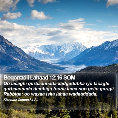 Boqorradii Labaad 12:16 SOM Bible Verse Image