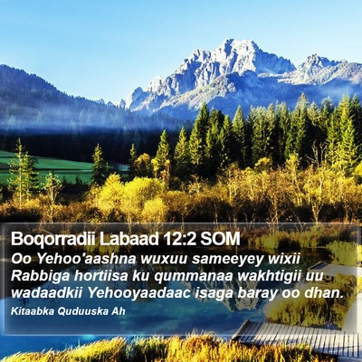 Boqorradii Labaad 12:2 SOM Bible Verse Image