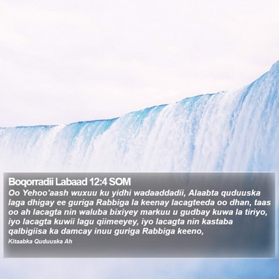 Boqorradii Labaad 12:4 SOM Bible Verse Image