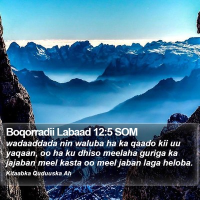 Boqorradii Labaad 12:5 SOM Bible Verse Image