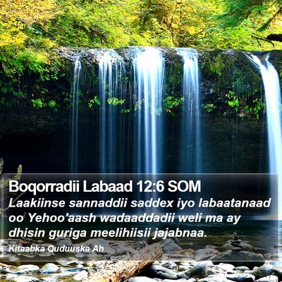 Boqorradii Labaad 12:6 SOM Bible Verse Image