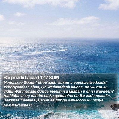 Boqorradii Labaad 12:7 SOM Bible Verse Image