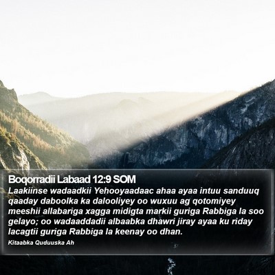 Boqorradii Labaad 12:9 SOM Bible Verse Image