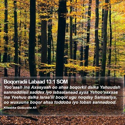 Boqorradii Labaad 13:1 SOM Bible Verse Image