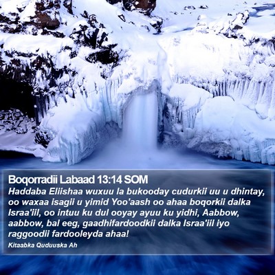 Boqorradii Labaad 13:14 SOM Bible Verse Image