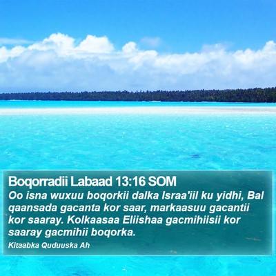 Boqorradii Labaad 13:16 SOM Bible Verse Image