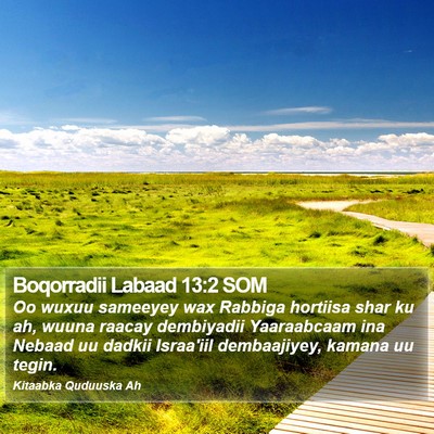 Boqorradii Labaad 13:2 SOM Bible Verse Image