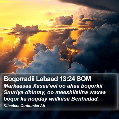 Boqorradii Labaad 13:24 SOM Bible Verse Image