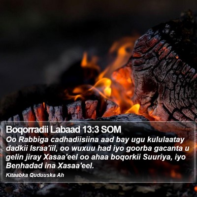 Boqorradii Labaad 13:3 SOM Bible Verse Image