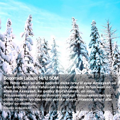 Boqorradii Labaad 14:13 SOM Bible Verse Image