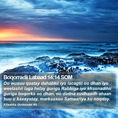 Boqorradii Labaad 14:14 SOM Bible Verse Image