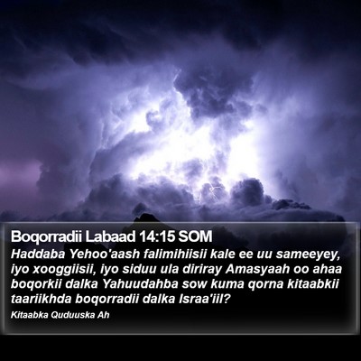 Boqorradii Labaad 14:15 SOM Bible Verse Image