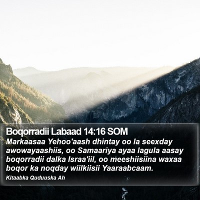 Boqorradii Labaad 14:16 SOM Bible Verse Image