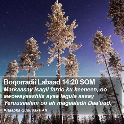 Boqorradii Labaad 14:20 SOM Bible Verse Image