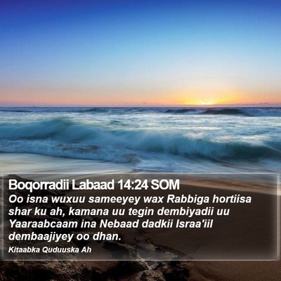 Boqorradii Labaad 14:24 SOM Bible Verse Image