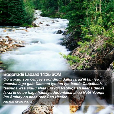 Boqorradii Labaad 14:25 SOM Bible Verse Image