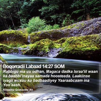 Boqorradii Labaad 14:27 SOM Bible Verse Image