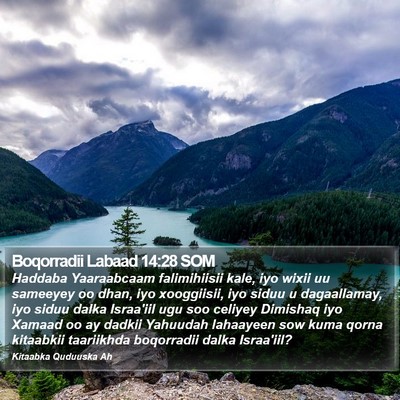 Boqorradii Labaad 14:28 SOM Bible Verse Image
