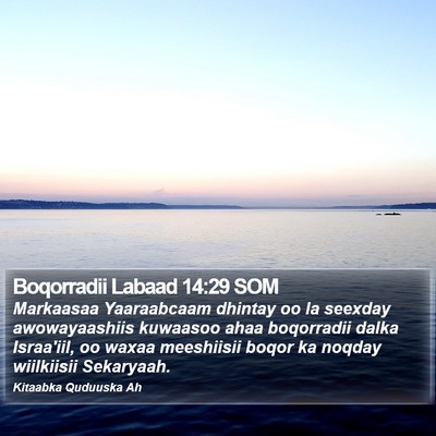 Boqorradii Labaad 14:29 SOM Bible Verse Image