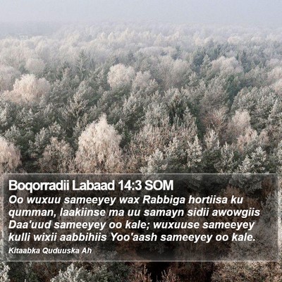 Boqorradii Labaad 14:3 SOM Bible Verse Image