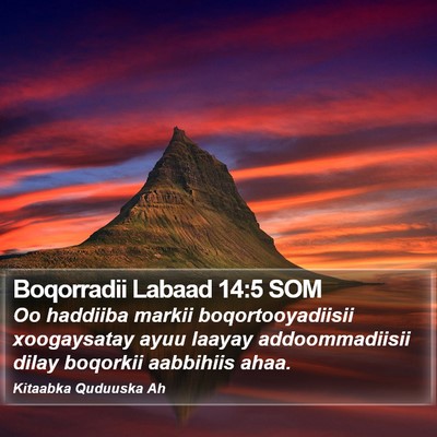 Boqorradii Labaad 14:5 SOM Bible Verse Image