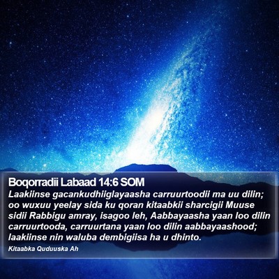 Boqorradii Labaad 14:6 SOM Bible Verse Image